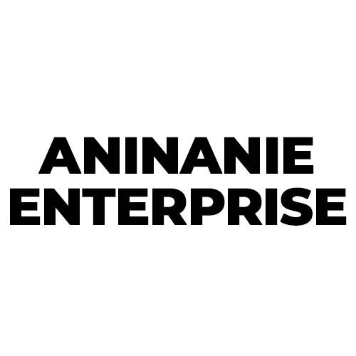 Aninanie Enterprise